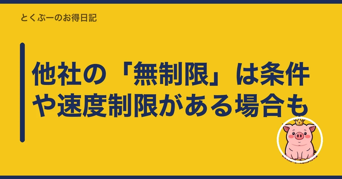 他社の「無制限」は条件や速度制限がある場合も｜とくぶー