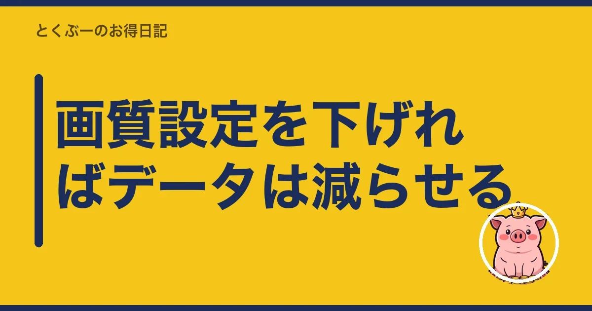 画質設定を下げればデータは減らせる｜とくぶー