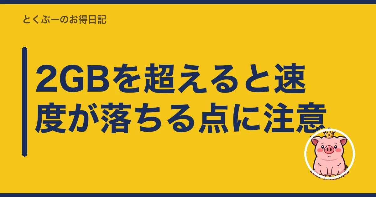 2GBを超えると速度が落ちる点に注意｜とくぶー