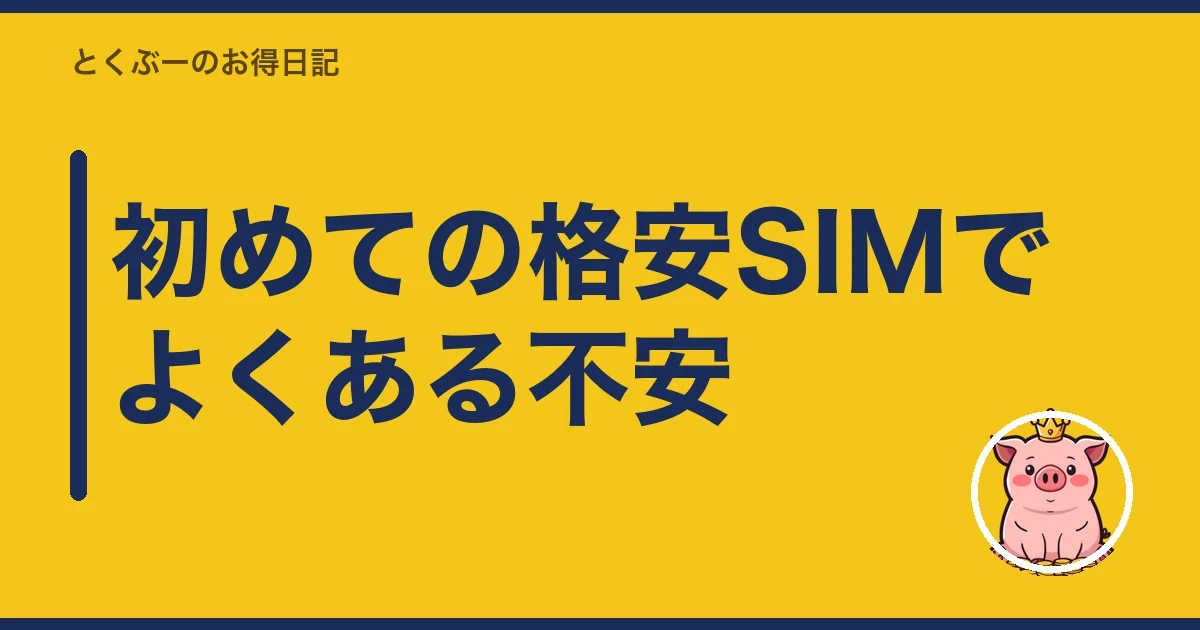 初めての格安SIMでよくある不安｜とくぶー