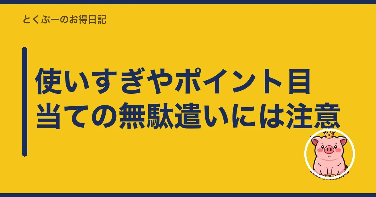 使いすぎやポイント目当ての無駄遣いには注意|とくぶー