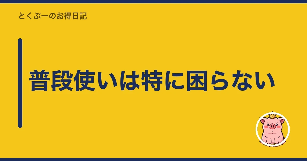 普段使いは特に困らない｜とくぶー