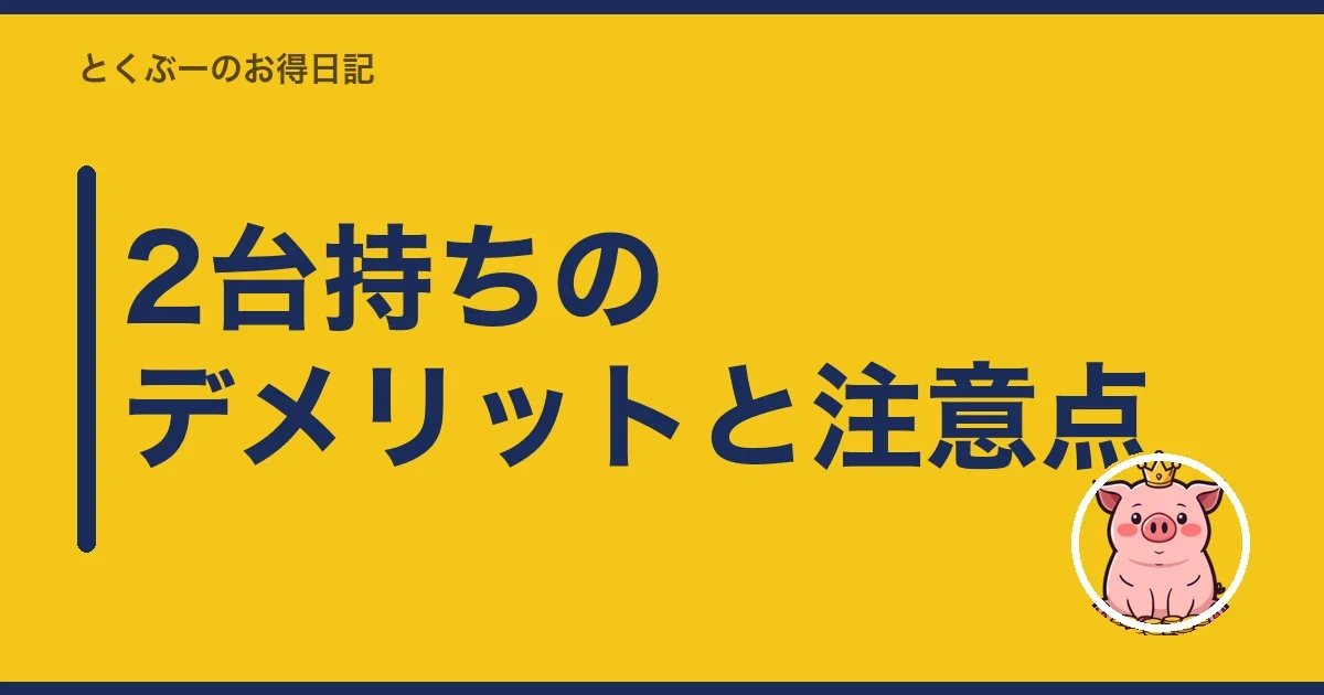 2台持ちのデメリットと注意点|とくぶー