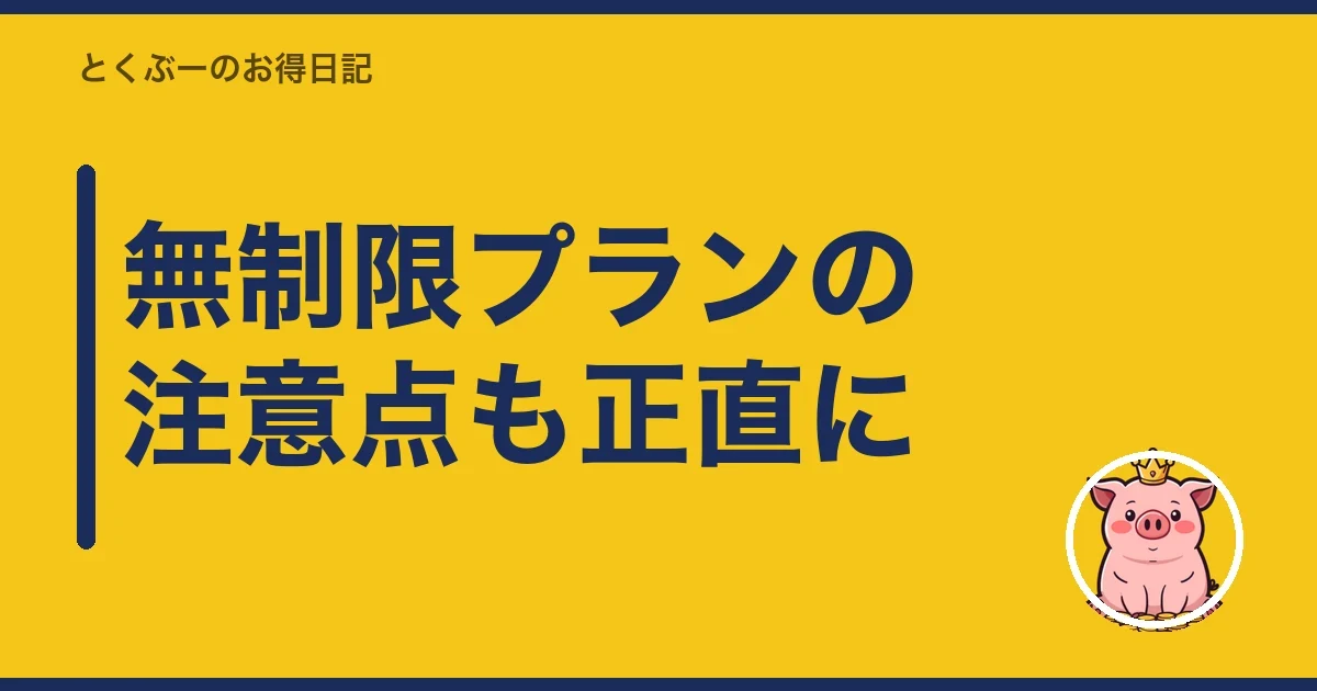 無制限プランの注意点も正直に｜とくぶー