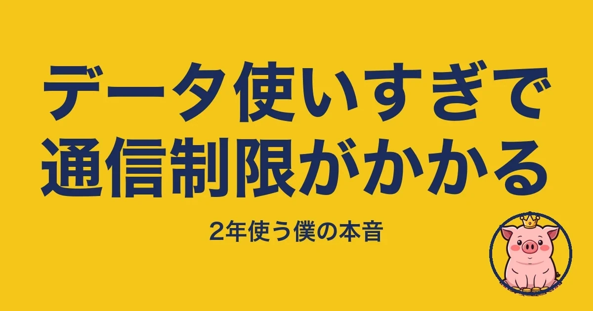 データ使いすぎで通信制限がかかる