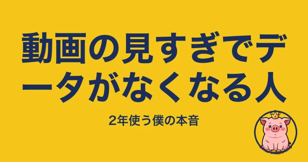 動画の見すぎでデータがなくなる人