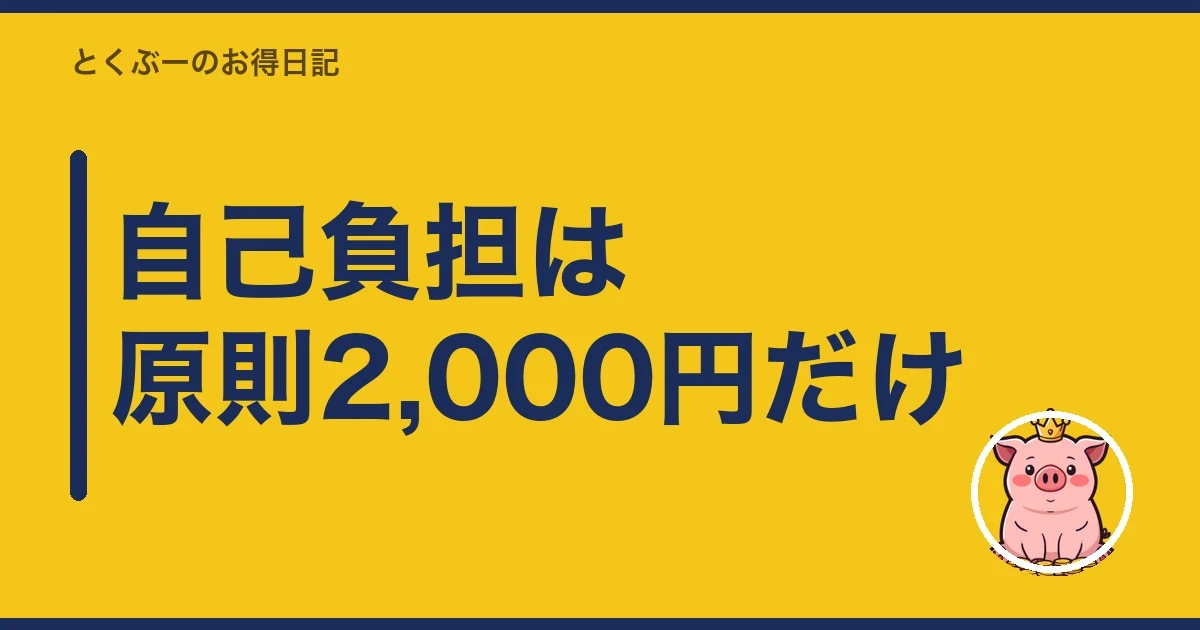 自己負担は原則2,000円だけ｜とくぶー