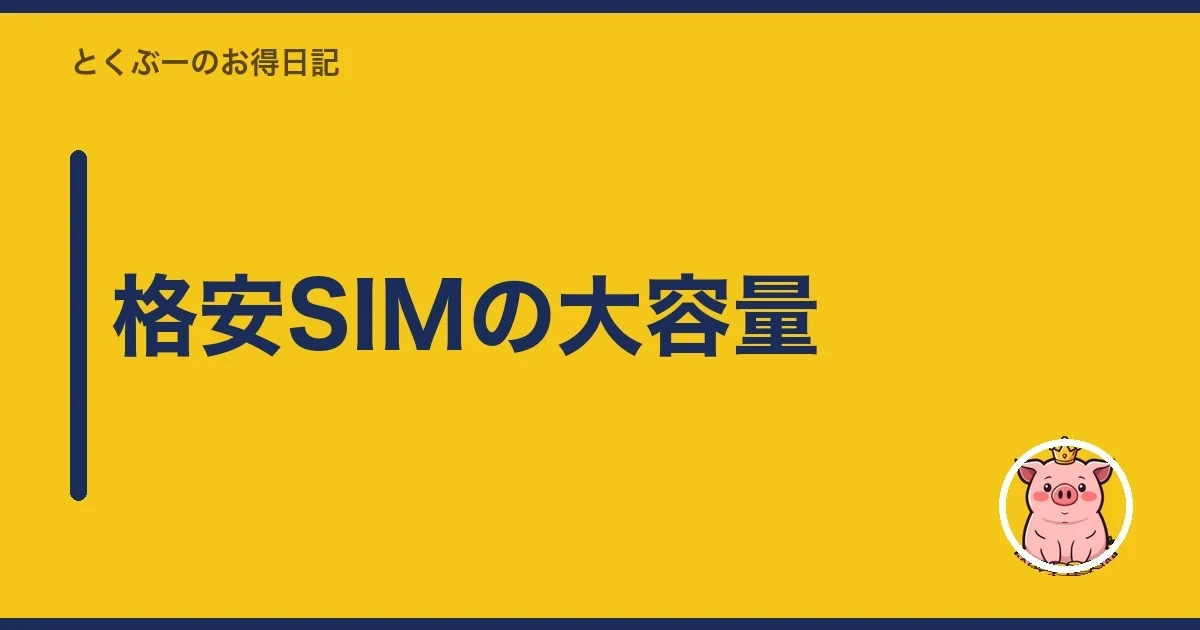 格安SIMの大容量|とくぶー