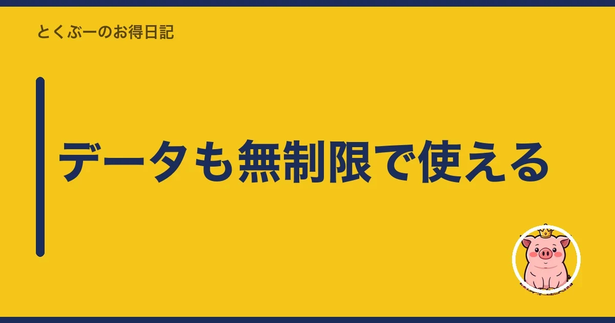 データも無制限で使える｜とくぶー