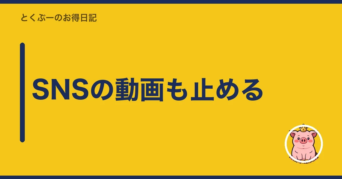 SNSの動画も止める|とくぶー