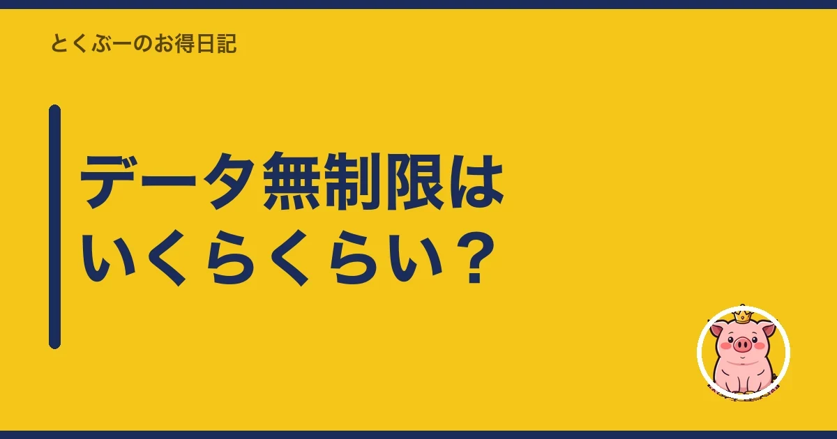 データ無制限はいくらくらい？｜とくぶー