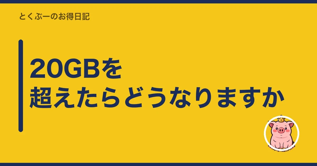 20GBを超えたらどうなりますか｜とくぶー