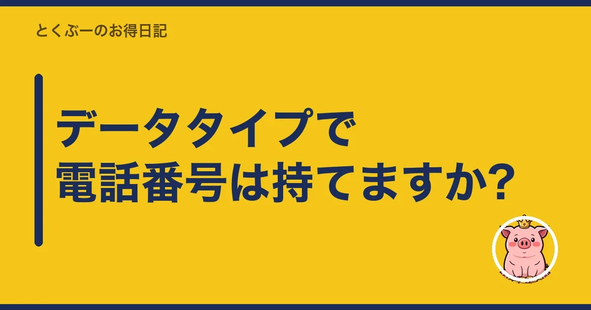 データタイプで電話番号は持てますか?｜とくぶー
