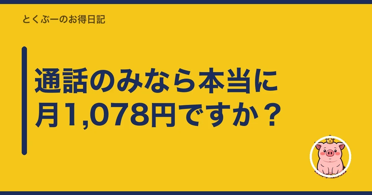 通話のみなら本当に月1,078円ですか？｜とくぶー