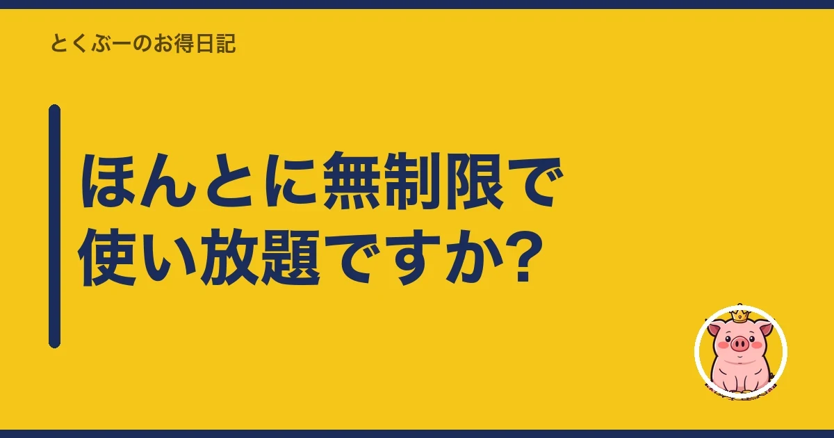 ほんとに無制限で使い放題ですか?｜とくぶー
