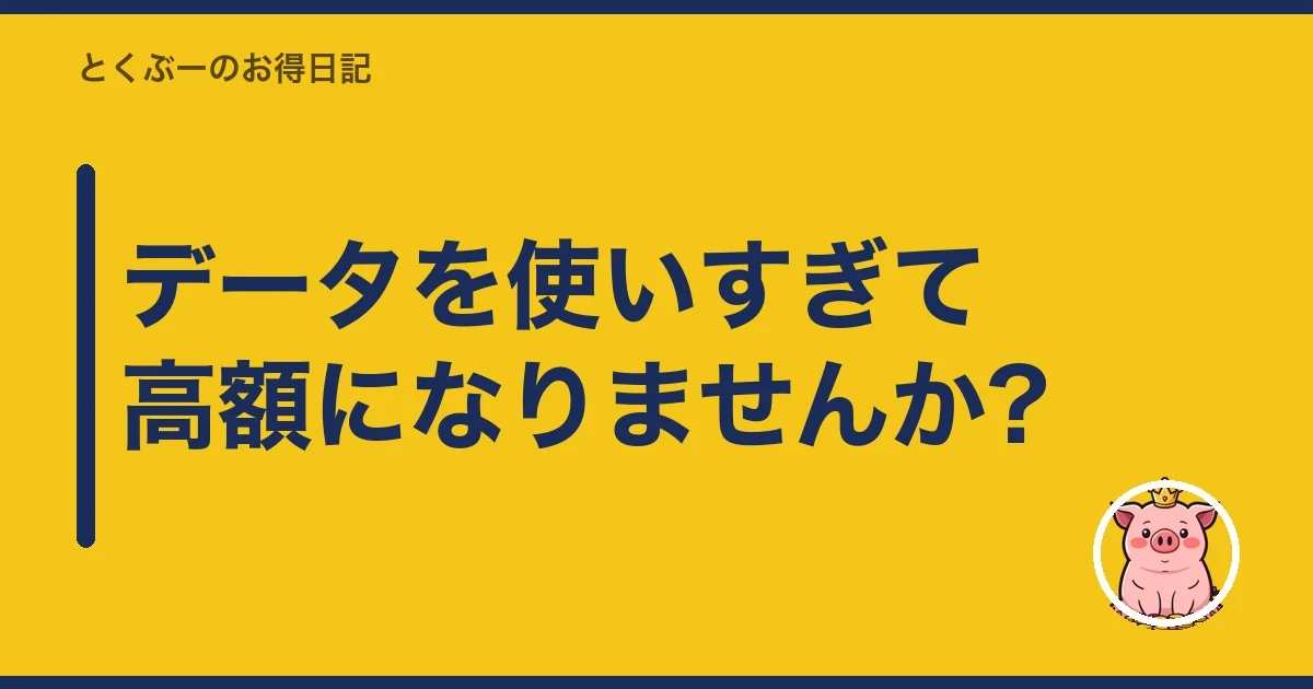 データを使いすぎて高額になりませんか?|とくぶー