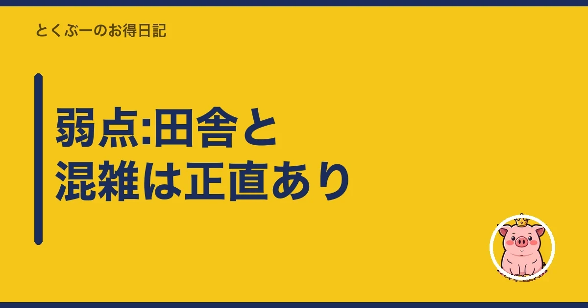 弱点:田舎と混雑は正直あり|とくぶー