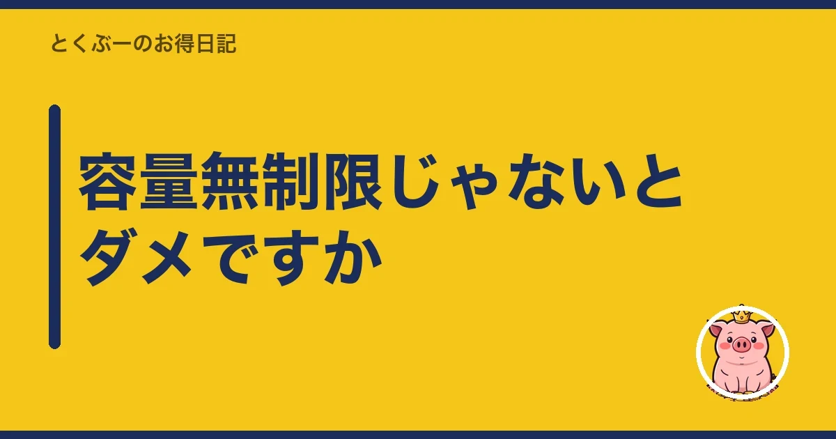 容量無制限じゃないとダメですか|とくぶー