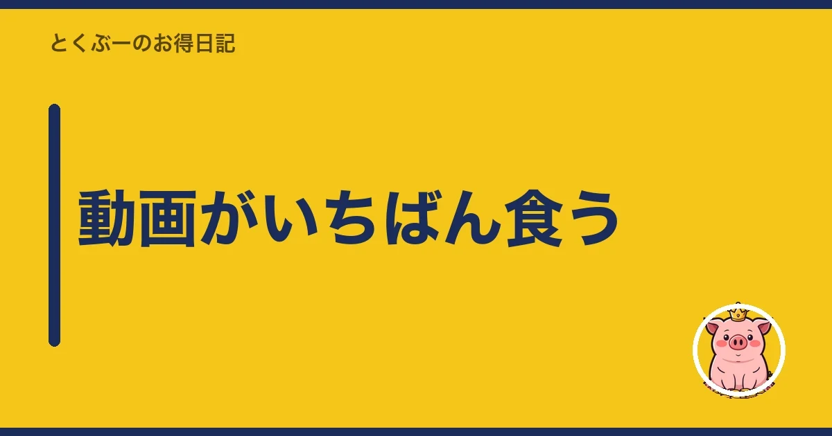 動画がいちばん食う|とくぶー
