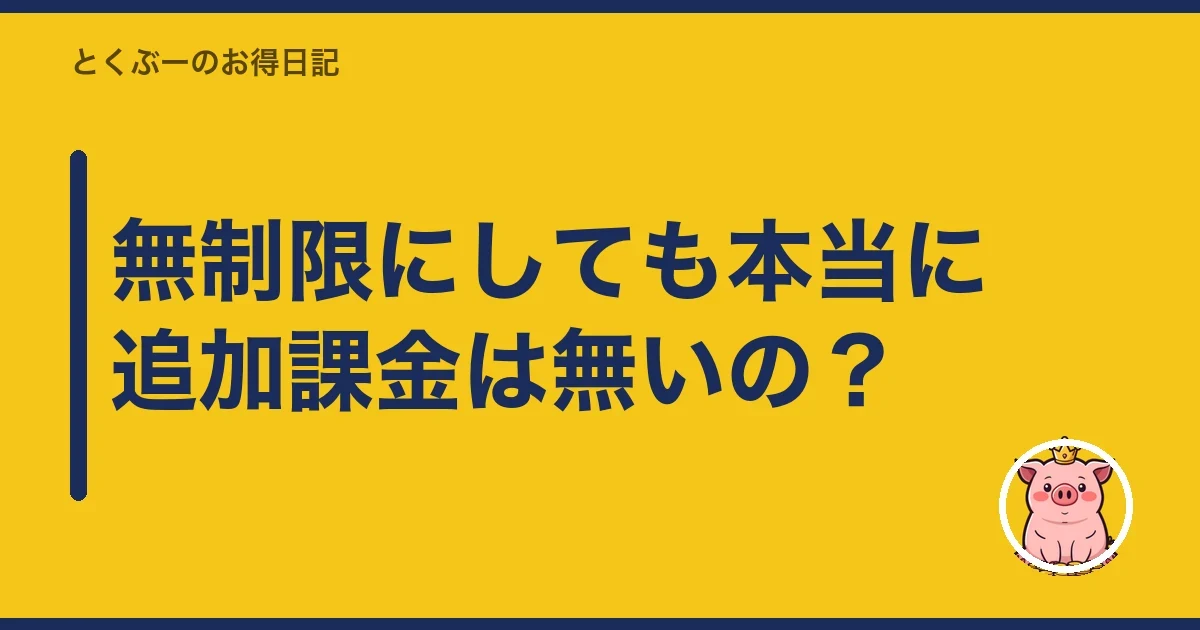 無制限にしても本当に追加課金は無いの？｜とくぶー