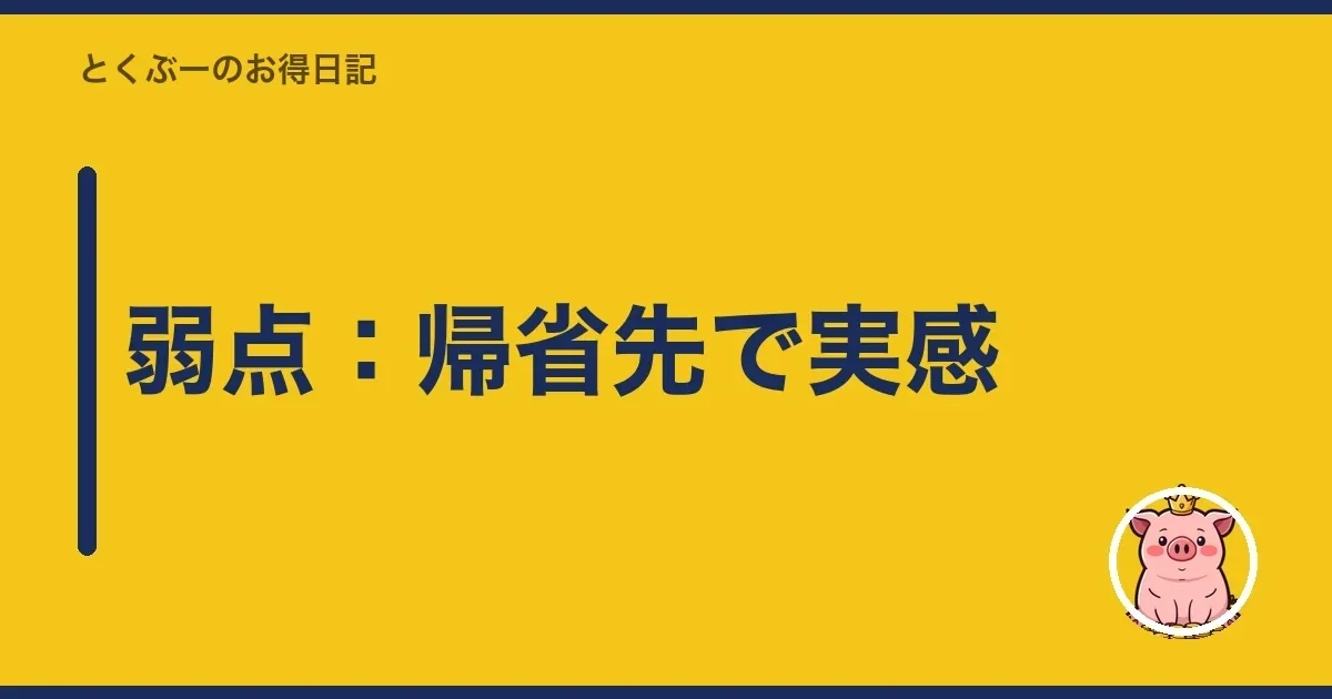 弱点：帰省先で実感｜とくぶー