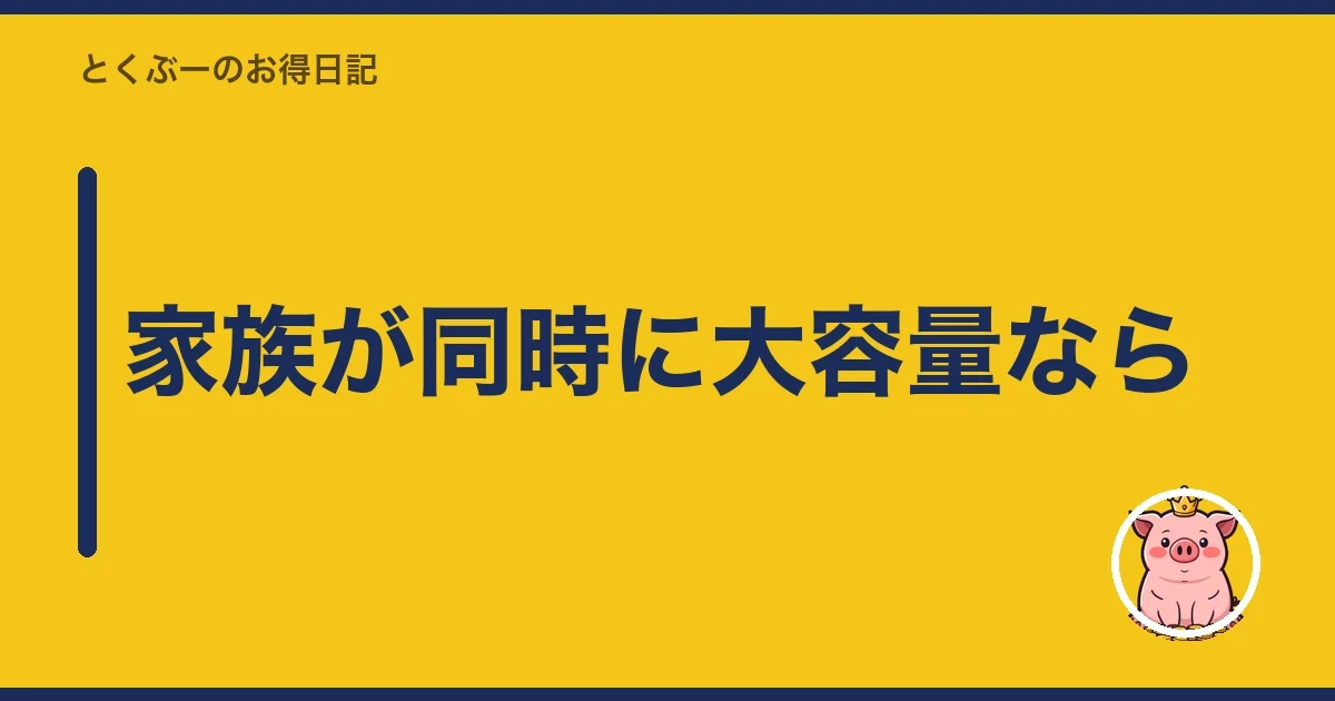 家族が同時に大容量なら|とくぶー