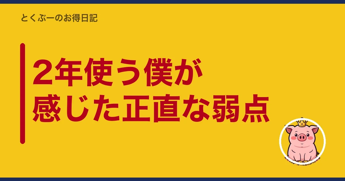 2年使う僕が感じた正直な弱点|とくぶー
