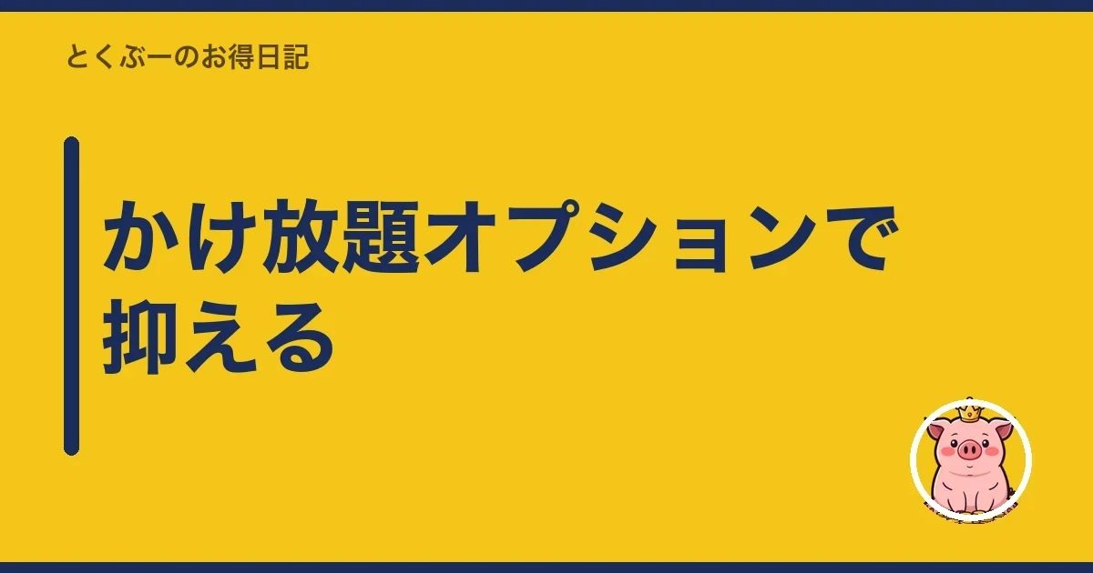 かけ放題オプションで抑える｜とくぶー