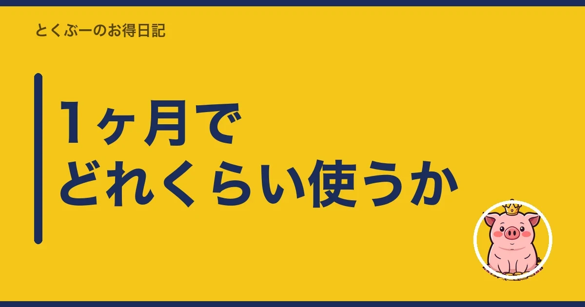 1ヶ月でどれくらい使うか｜とくぶー