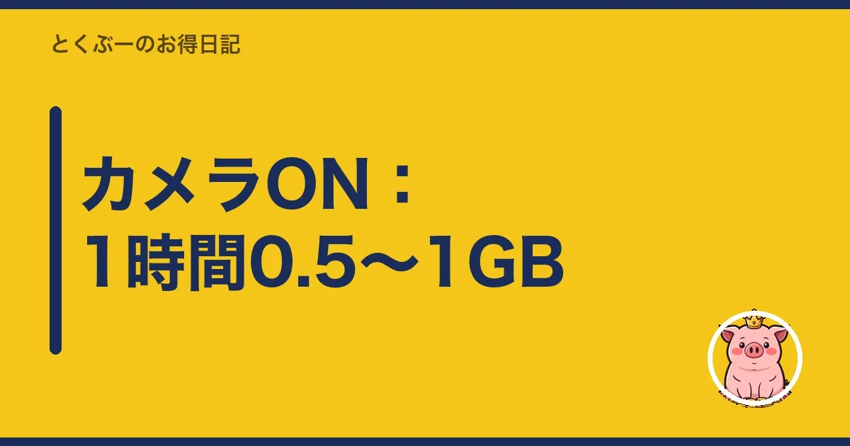 カメラON：1時間0.5〜1GB｜とくぶー