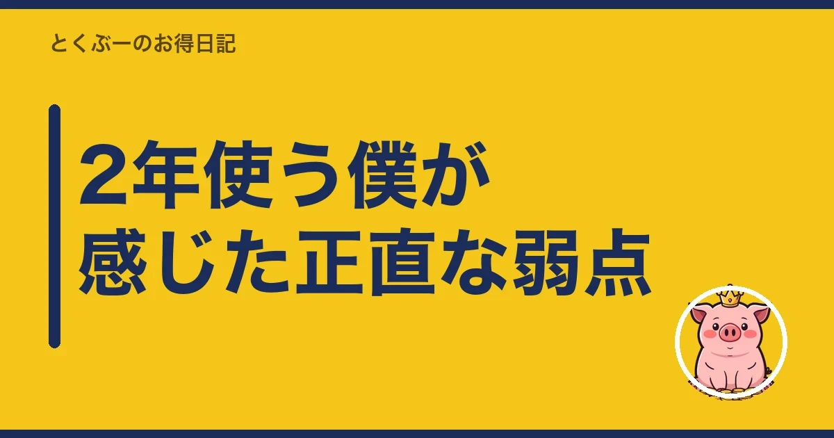 2年使う僕が感じた正直な弱点｜とくぶー