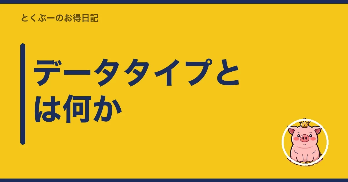 データタイプとは何か｜とくぶー