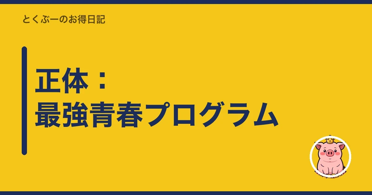 正体:最強青春プログラム|とくぶー