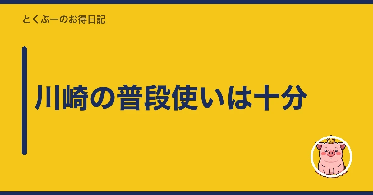 川崎の普段使いは十分|とくぶー