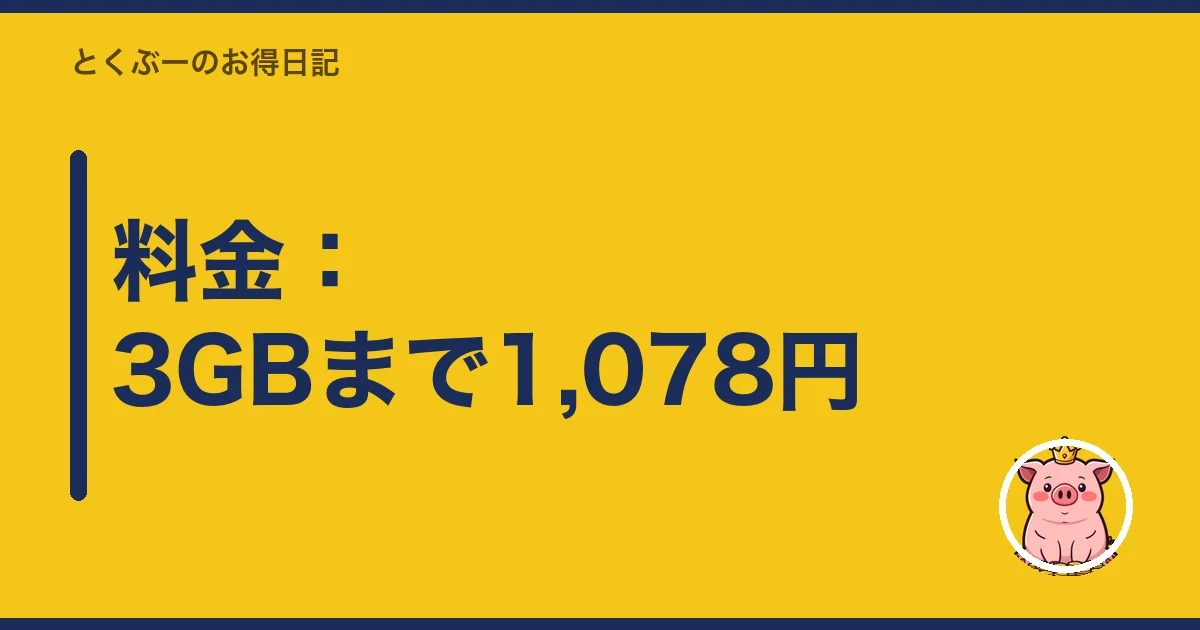 料金：3GBまで1,078円｜とくぶー
