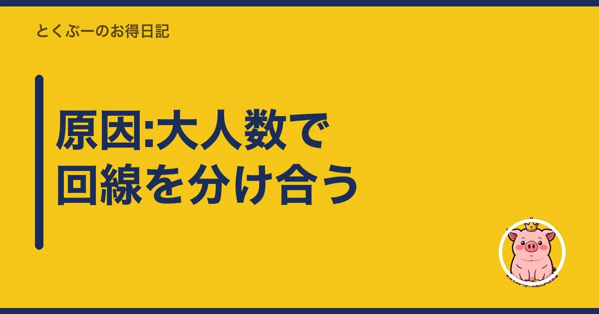 原因:大人数で回線を分け合う|とくぶー
