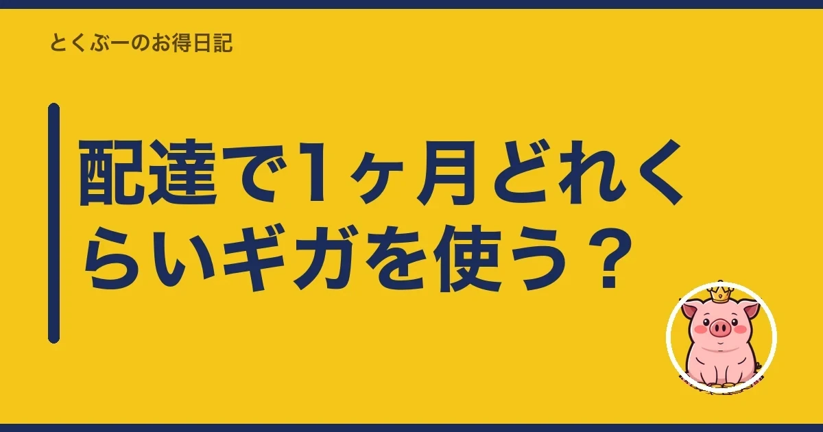 配達で1ヶ月どれくらいギガを使う？｜とくぶー