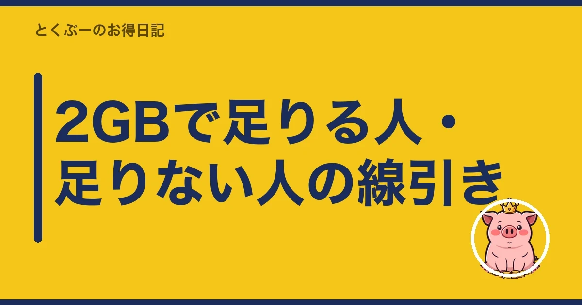 2GBで足りる人・足りない人の線引き｜とくぶー