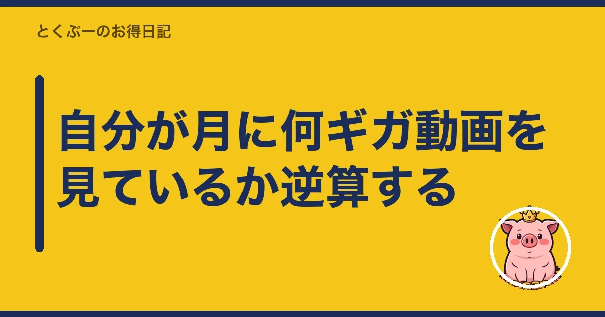 自分が月に何ギガ動画を見ているか逆算する|とくぶー