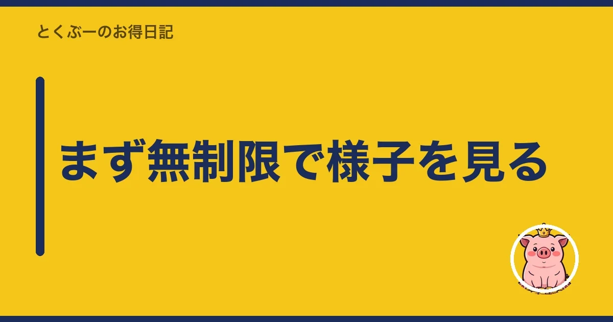 まず無制限で様子を見る|とくぶー