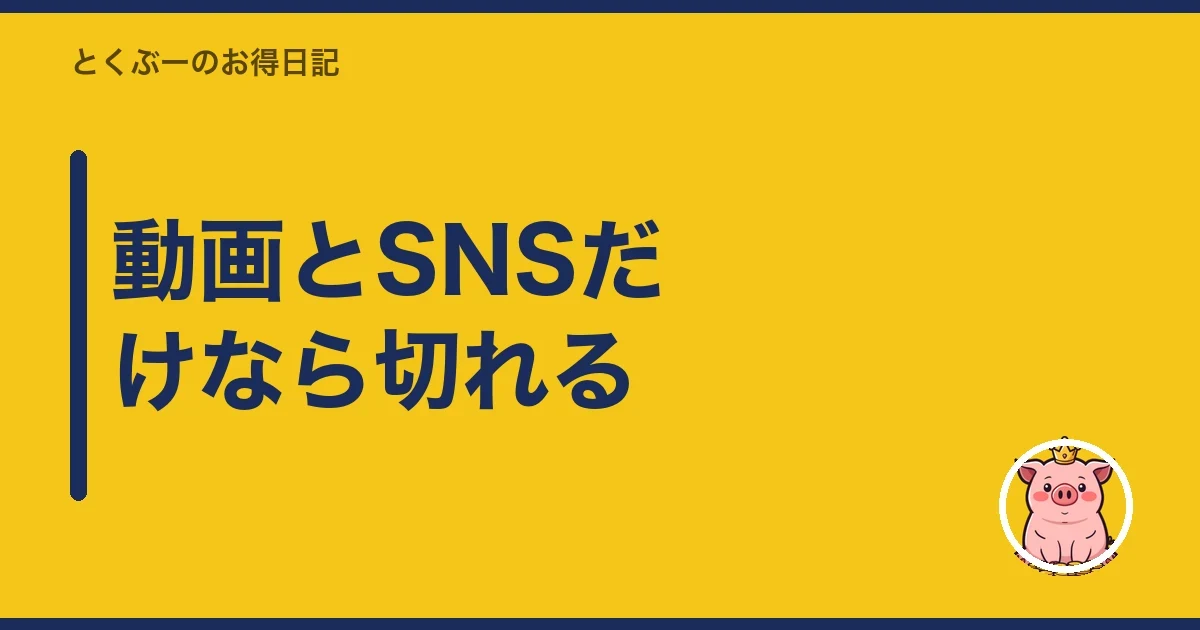 動画とSNSだけなら切れる｜とくぶー