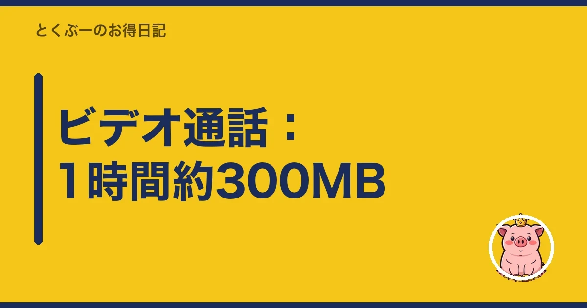 ビデオ通話:1時間約300MB|とくぶー