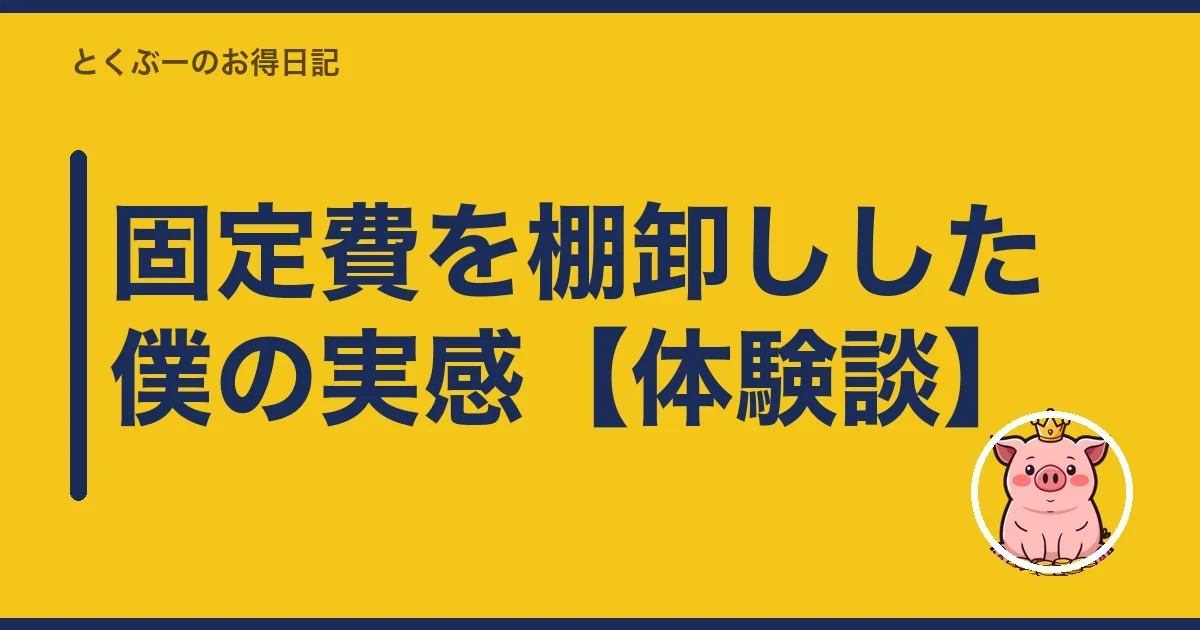 固定費を棚卸しした僕の実感【体験談】|とくぶー