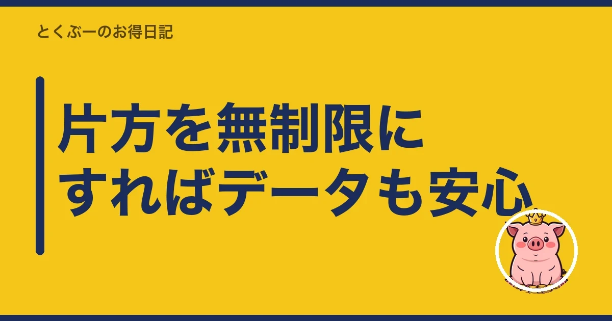 片方を無制限にすればデータも安心|とくぶー