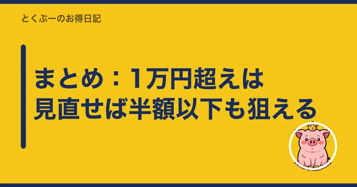 まとめ:1万円超えは見直せば半額以下も狙える|とくぶー