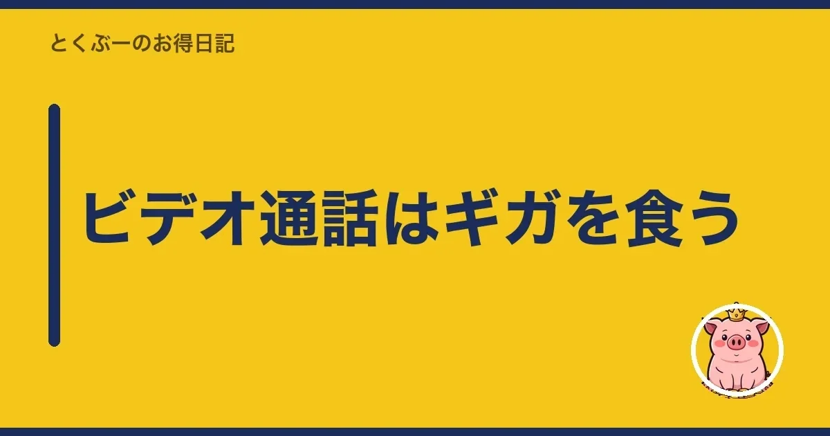 ビデオ通話はギガを食う|とくぶー