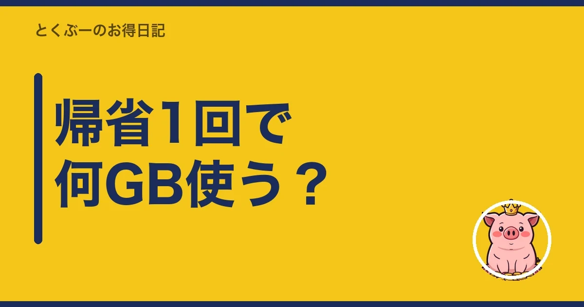 帰省1回で何GB使う?|とくぶー