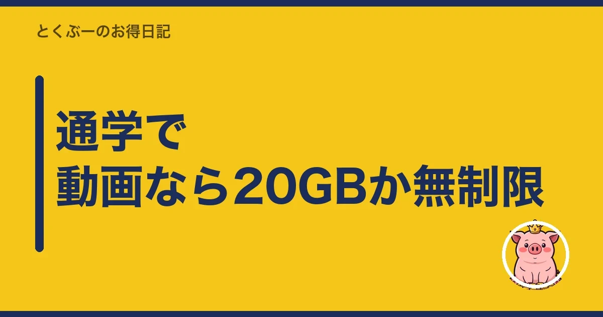 通学で動画なら20GBか無制限｜とくぶー