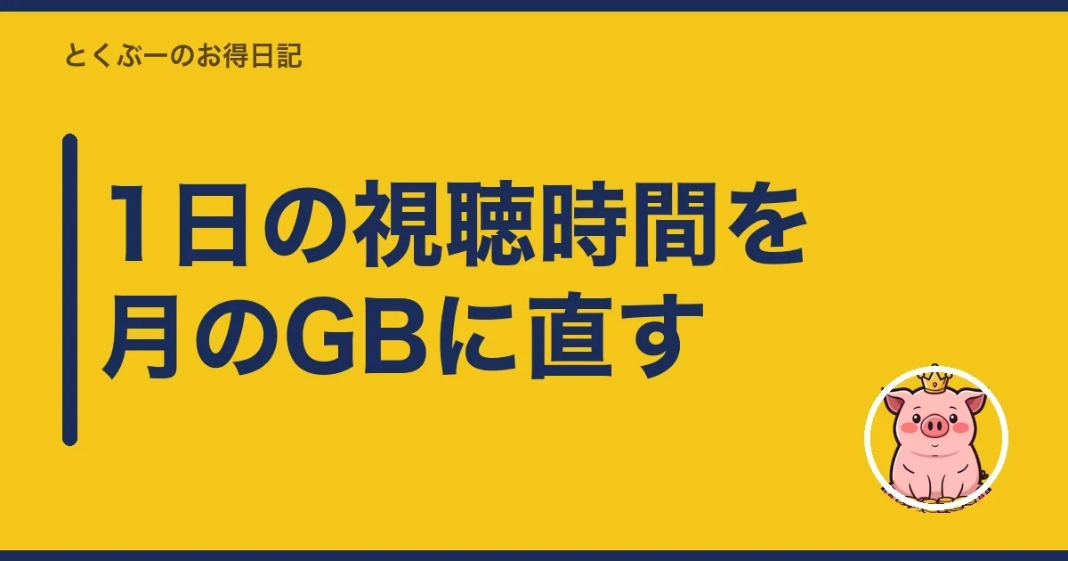 1日の視聴時間を月のGBに直す｜とくぶー