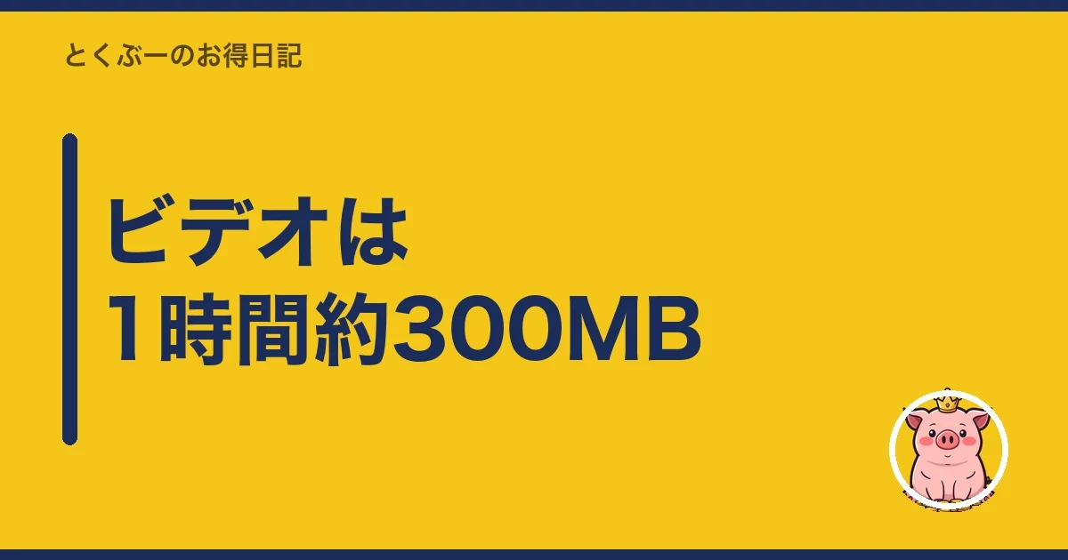 ビデオは1時間約300MB｜とくぶー